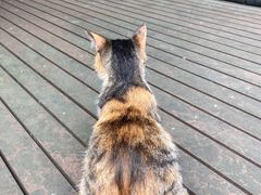 -同济大学本部学苑饮食广场