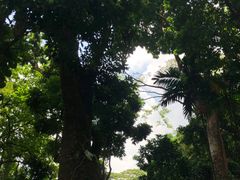 景点-新加坡飞禽公园