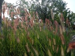 -汉长安城未央宫国家考古遗址公园