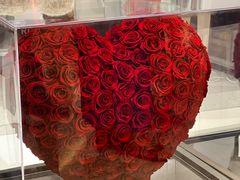 -ROSEONLY诺誓(广州K11店)