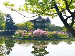 -景福宫