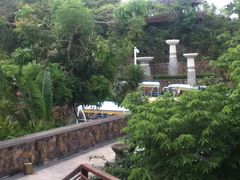 439-三亚亚龙湾人间天堂鸟巢度假村