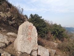 -树山生态村