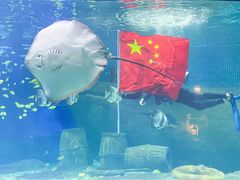 -重庆欢乐海底世界