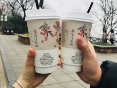 -茶颜悦色(岳麓山顶店)