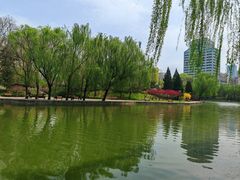 -团结湖公园