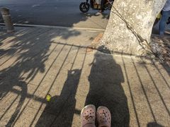 -鱼珠码头(轮渡站)