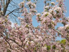 -仙海旅游度假区