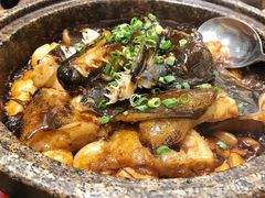-海派美食·家宴海鲜青岛菜·石锅鲽鱼头(东方城店)