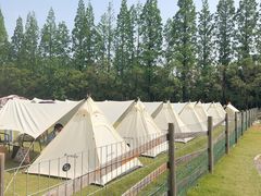 -前小桔亲子创意农场·草莓采摘·露营烧烤