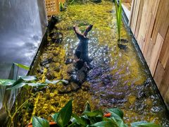 -邈墨茶馆(凤起路店)