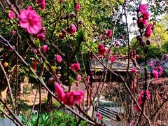 -桃花涧
