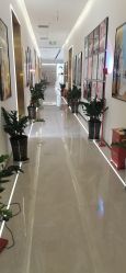 -维纳斯婚纱摄影(友好北路店)
