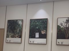 -八马茶业·茶馆茶室(罗湖万象城店)