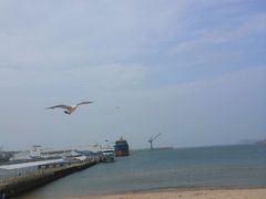 -海驴岛(荣成市)