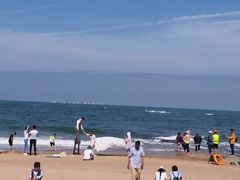 -日照灯塔风景区