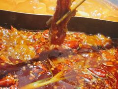 -楠火锅(哈尔滨金爵万象店)