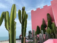 -漳州滨海火山岛自然生态风景区