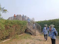 -亲兄弟真人CS团建拓展基地