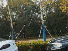 -上海滨江森林公园