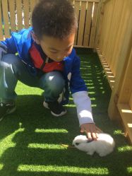 -萌宠亲子动物乐园(槐房万达店)