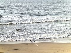 -老虎石海上公园