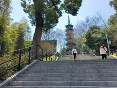 -上海佘山国家森林公园西佘山园