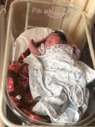 点击看大图 -复旦大学附属妇产科医院(杨浦院区)