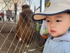 -长白岛森林公园