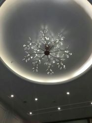 -MIDA蜜哒•科技逆龄美肤连锁