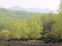 -鲁山国家森林公园