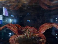 -同济大学四平路校区深海探索馆