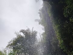 -沐川竹海旅游景区