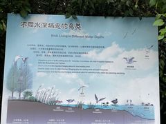 -同里国家湿地公园