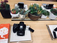 -Sony Store 索尼(来福士店)