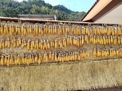 -新安江山水画廊风景区