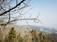 -北京西山国家森林公园