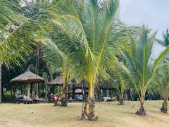 -三亚海棠湾万丽度假酒店