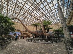 -国家自然博物馆