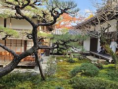 -常寂光寺