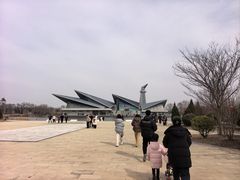 -盐城丹顶鹤湿地生态旅游区