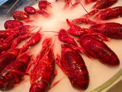 -红盔甲·小龙虾(天钥桥店)