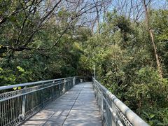 -佛山华盖山公园