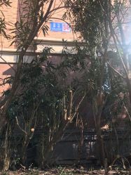 -梵梦影像馆(绿博园店)