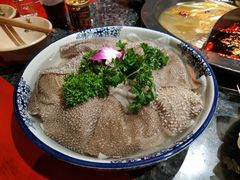 水毛肚-蜀大侠火锅(古田店)
