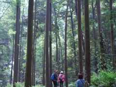-凤栖山