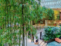 -北京望京凯悦酒店The Lounge大堂酒廊