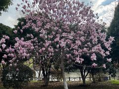 -武汉交通职业学院