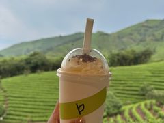 -白茶原·一片叶子