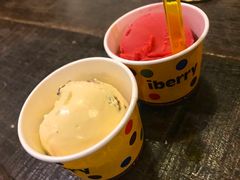 -莓园冰淇淋店